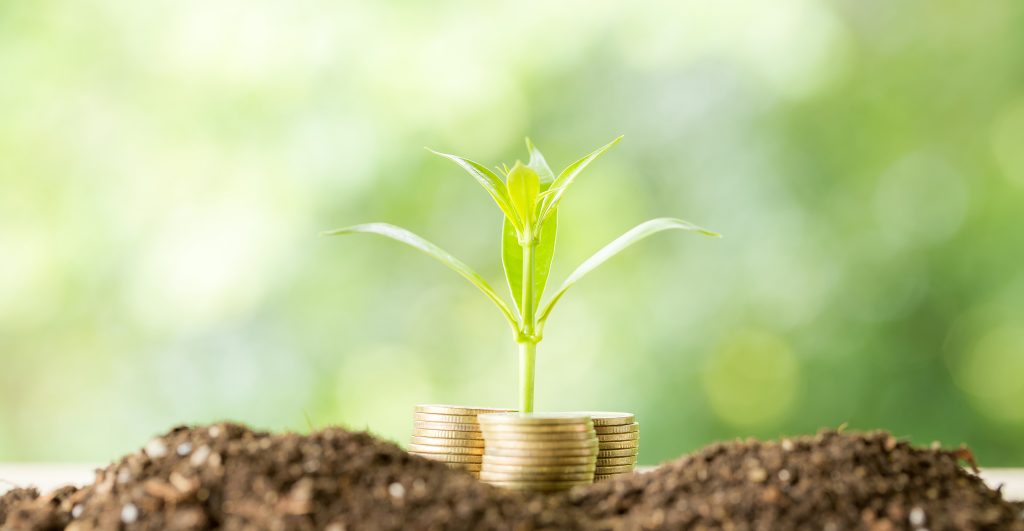 plantar arboles en una pila de monedas con luz solar