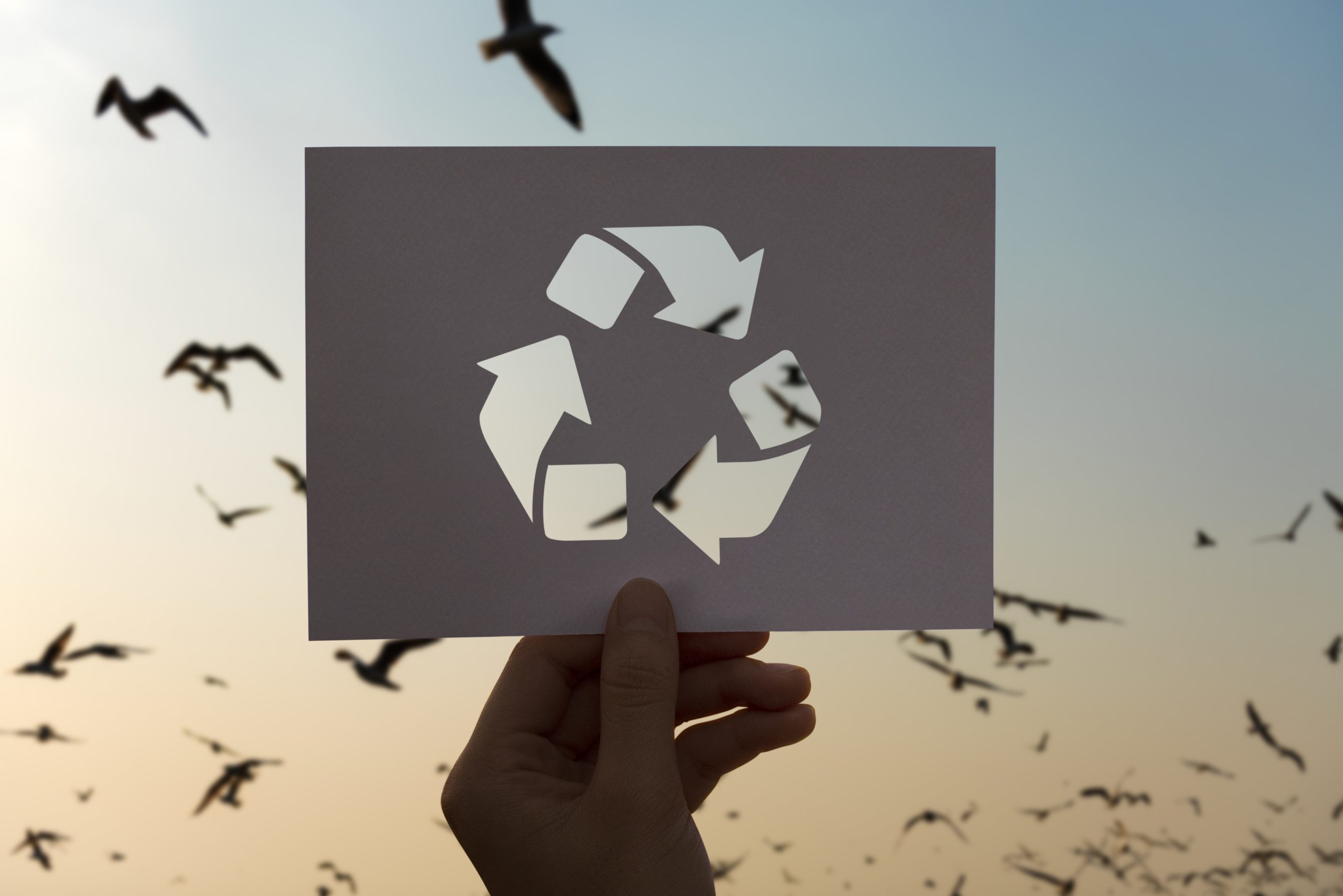 materiales y sostenibilidad