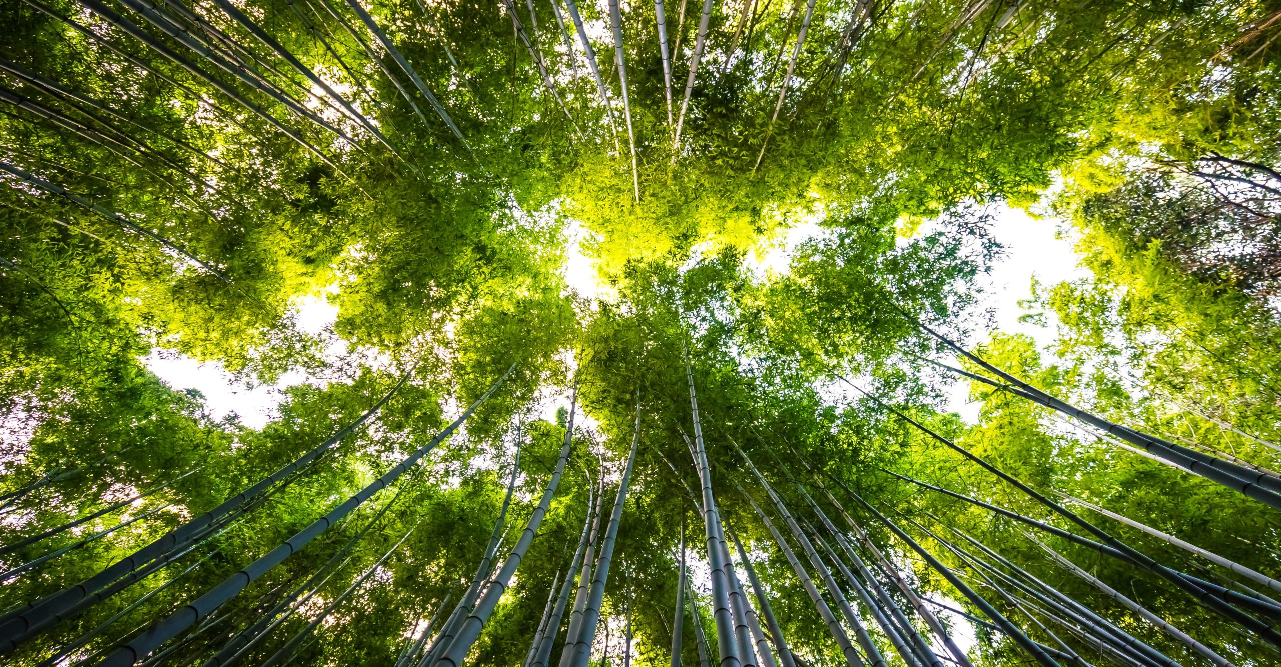 materiales avanzados y sostenibilidad